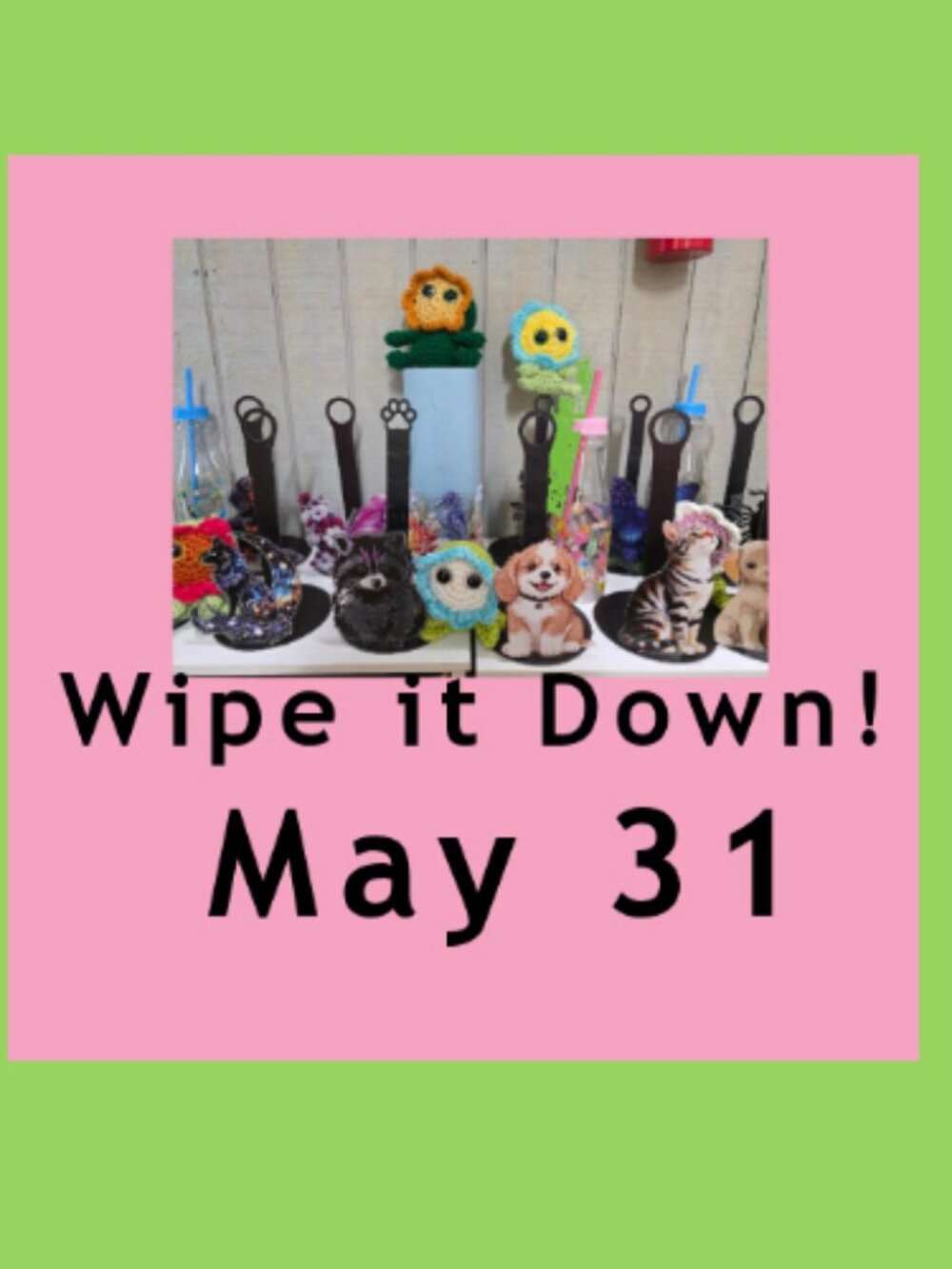 BUY NOW...Wipe it Down...May 31st